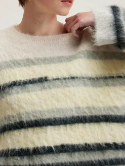 Dinie Gestreepte Trui