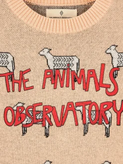 Grebe Ronde Hals Trui