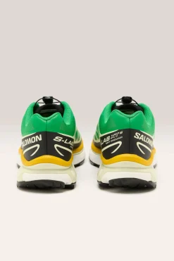 SALOMON Xt-6 Voor Vrouwen